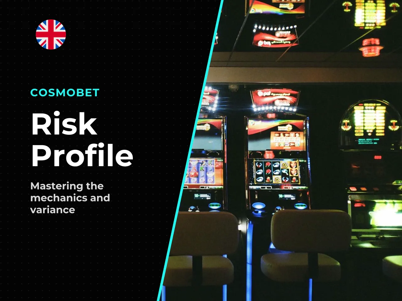 The Multidimensional Risk Profile. Understanding Buffalo