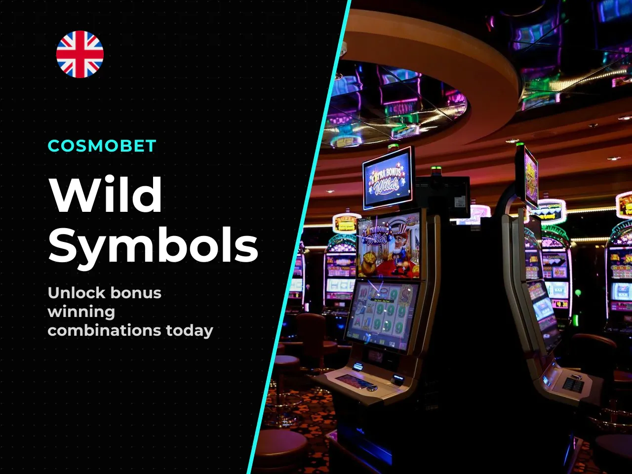 Wild and Multiplier Symbols. The Wild