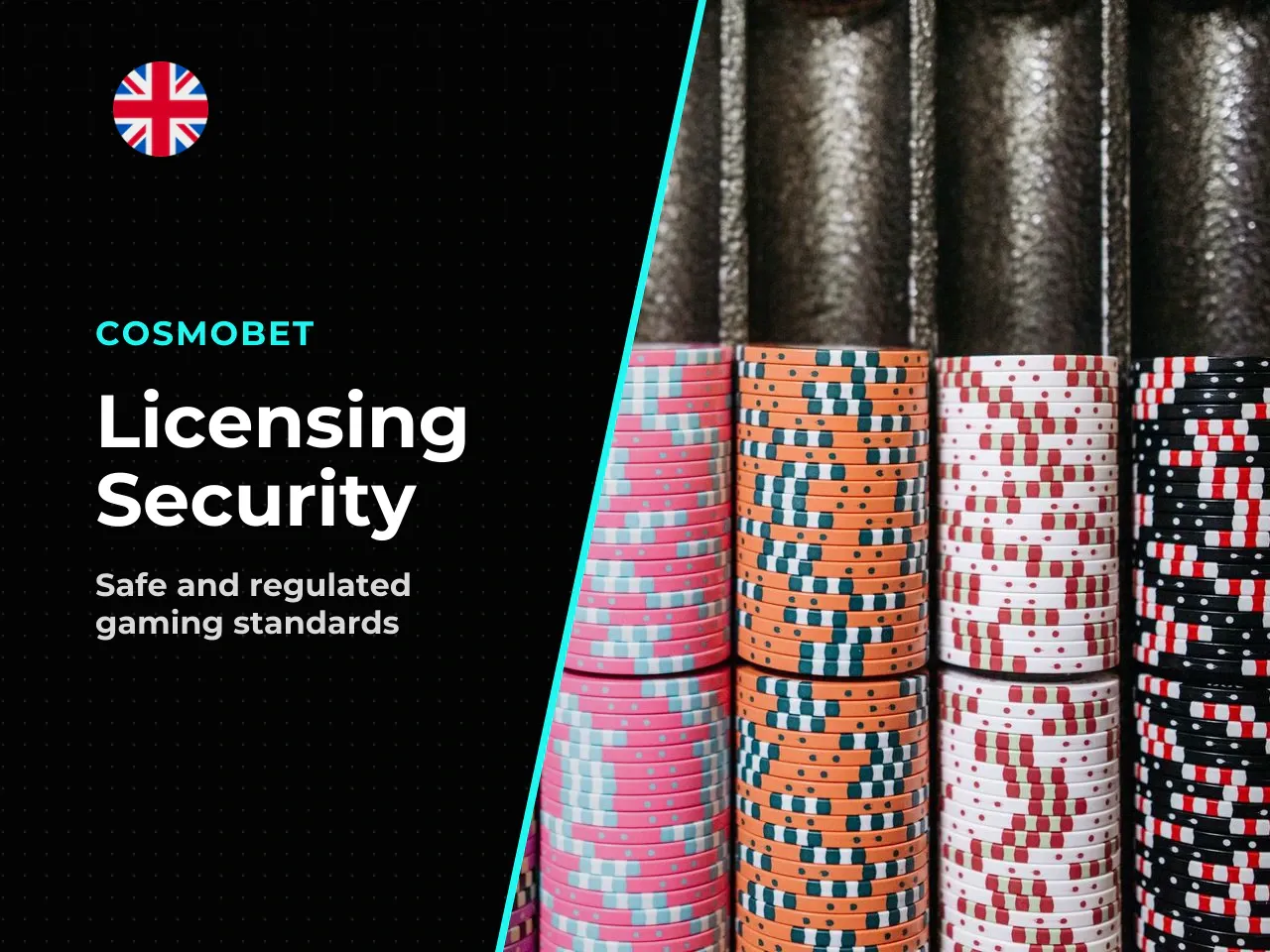 Licensing and Safety What You Need